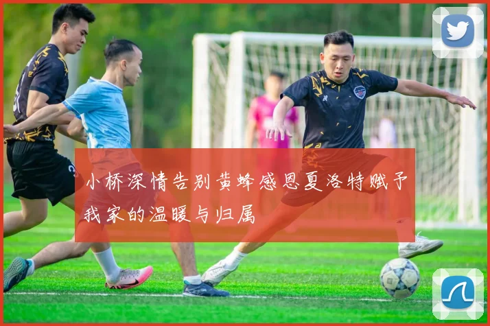 小桥深情告别黄蜂感恩夏洛特赋予我家的温暖与归属